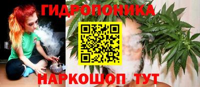 гидра Пыть-Ях