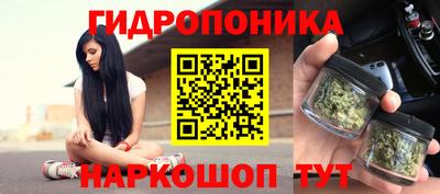 гидра Пыть-Ях